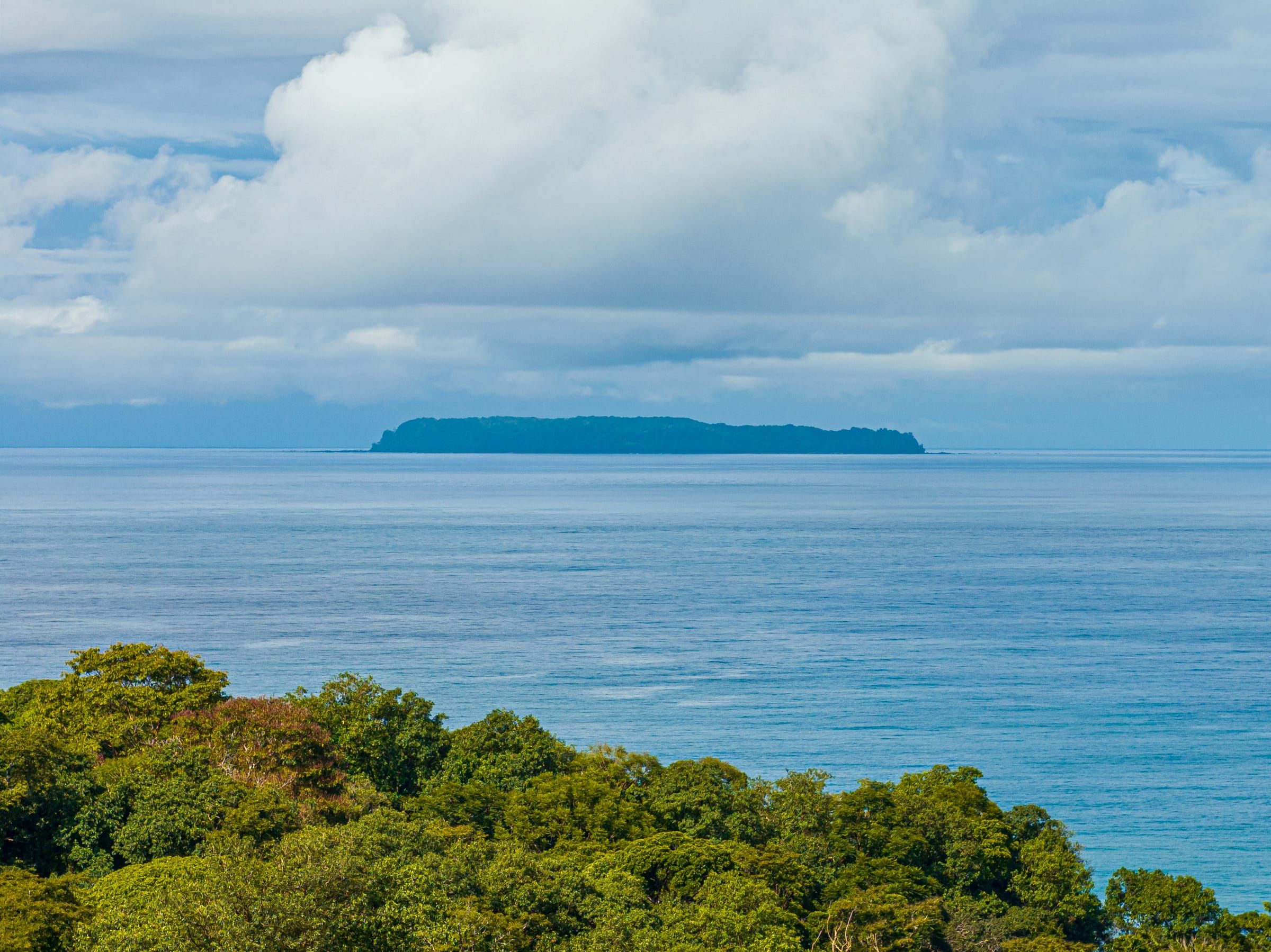 An island on the horizon, seen over the rainforest canopy