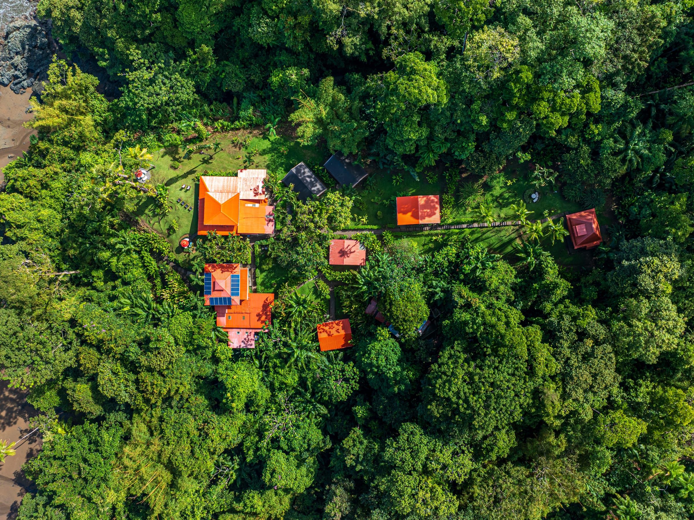 The lodge's red roofs seen from directly above, surrounded by rainforest