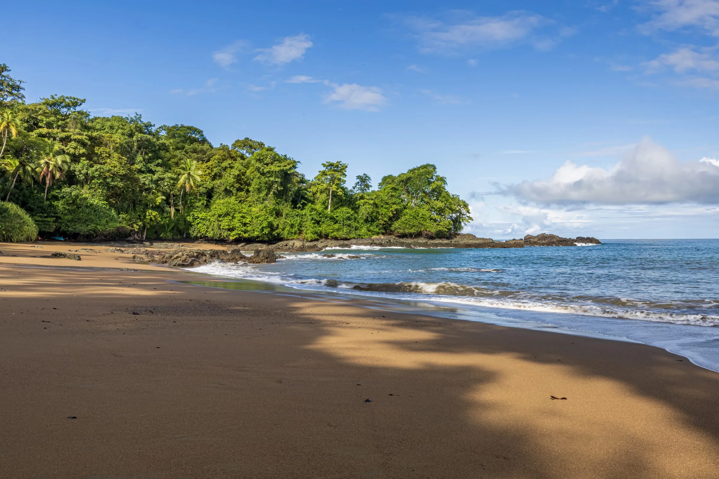 Golden sand beach with rocks and rainforest reaching down to the sea
