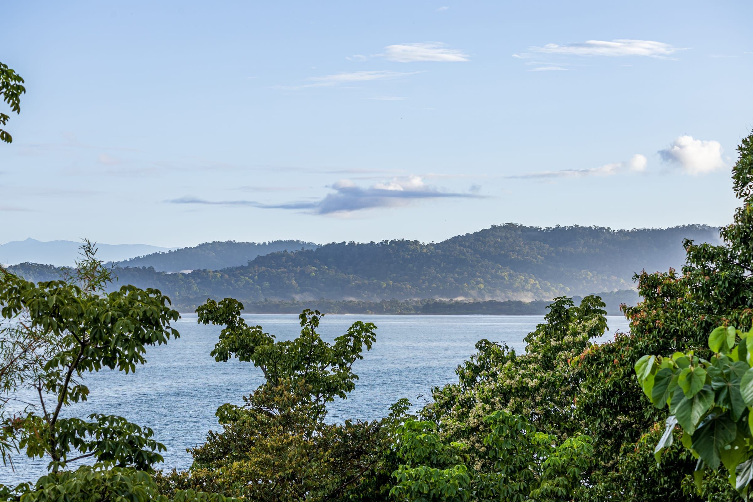 Forested hills and coastline across the water