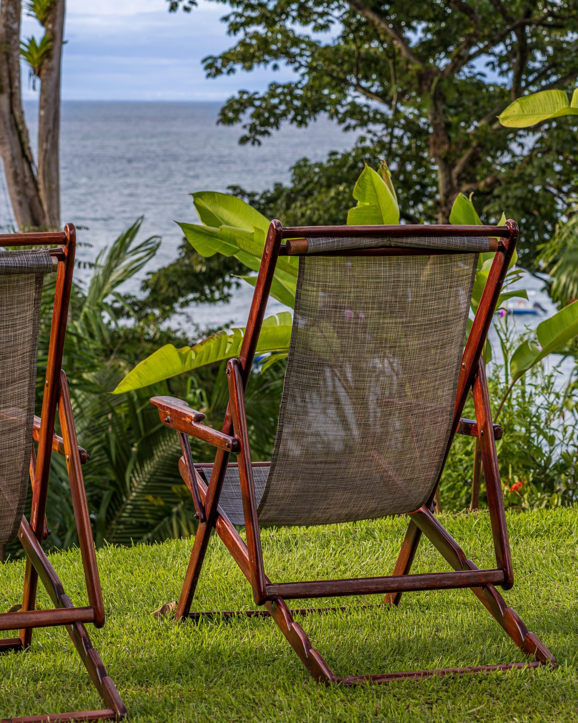 Wooden deck chairs on the lawn above the sea