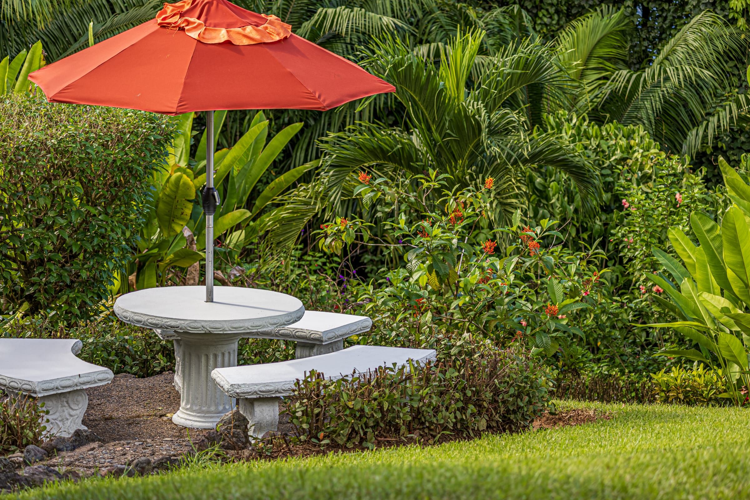 A stone table under a red umbrella in the tropical garden