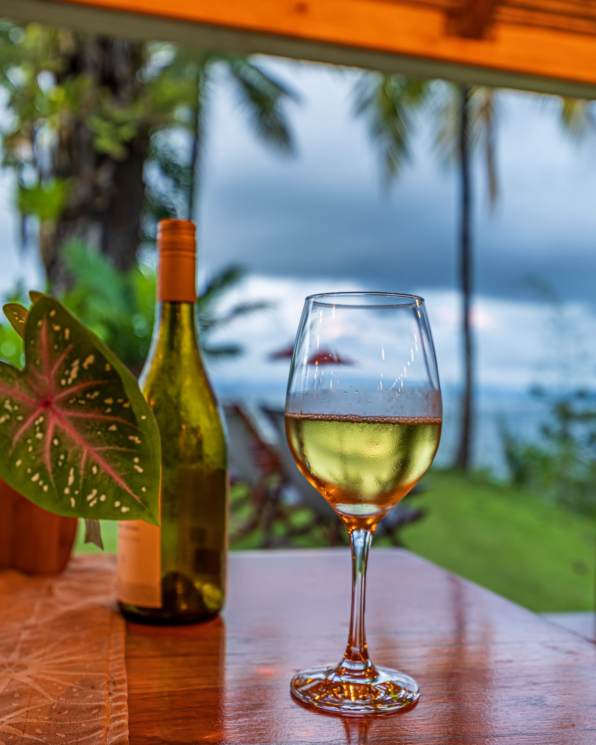 A glass of white wine on a table, with palms and the sea behind