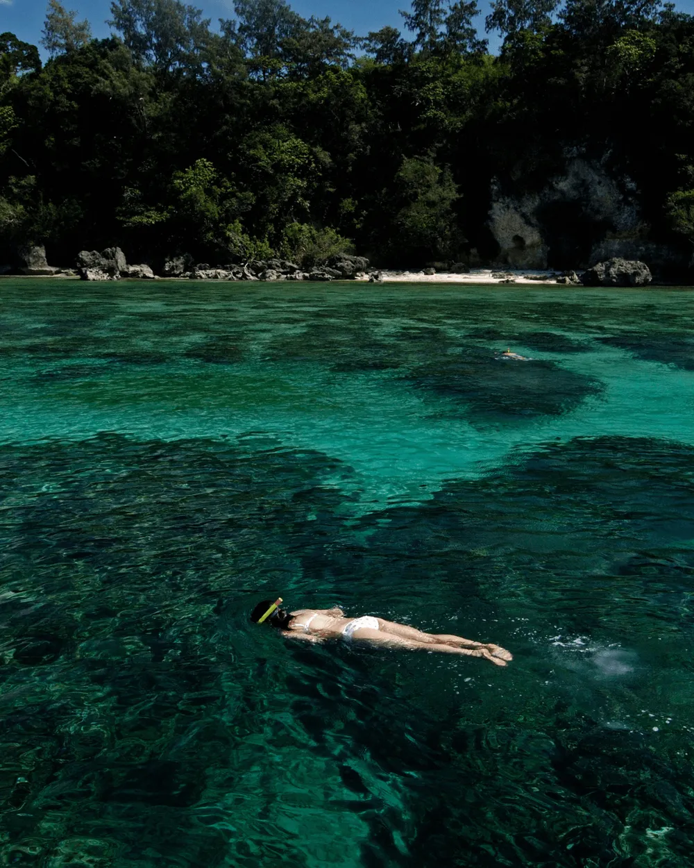 Persona haciendo snorkel sobre el arrecife de la Isla del Caño