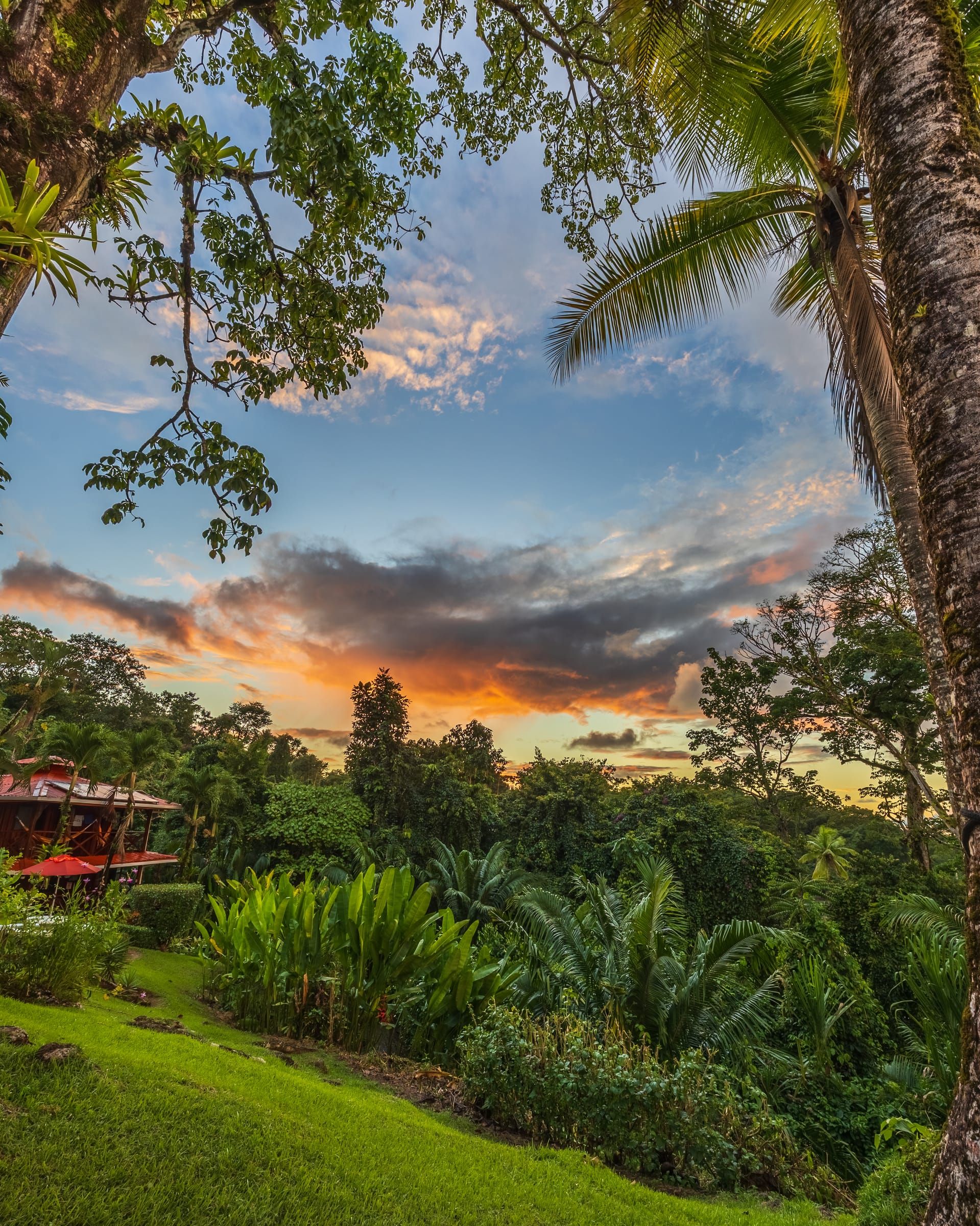 Sunset over the sea seen from the garden, framed by trees