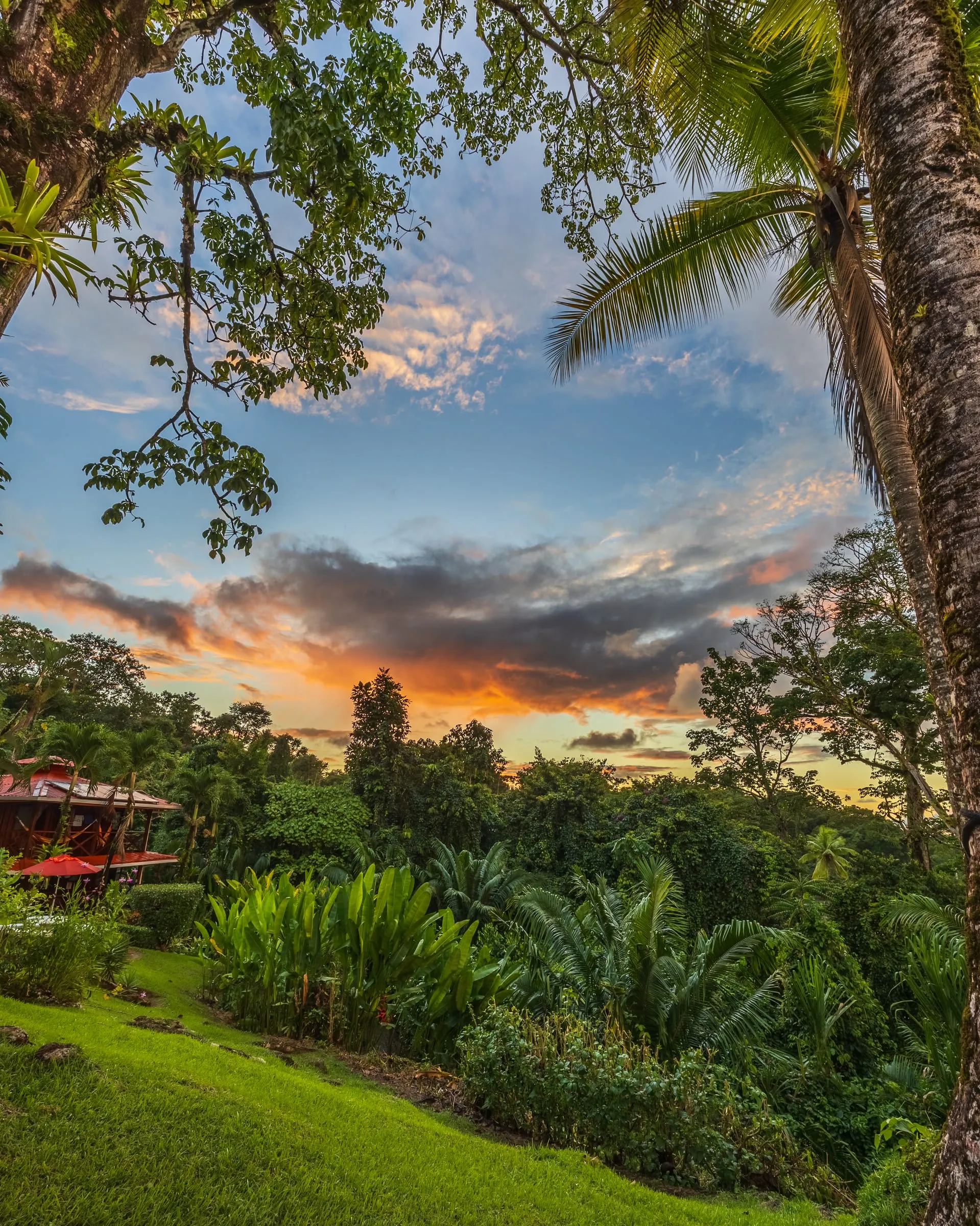 Atardecer sobre el mar visto desde el jardín, entre los árboles