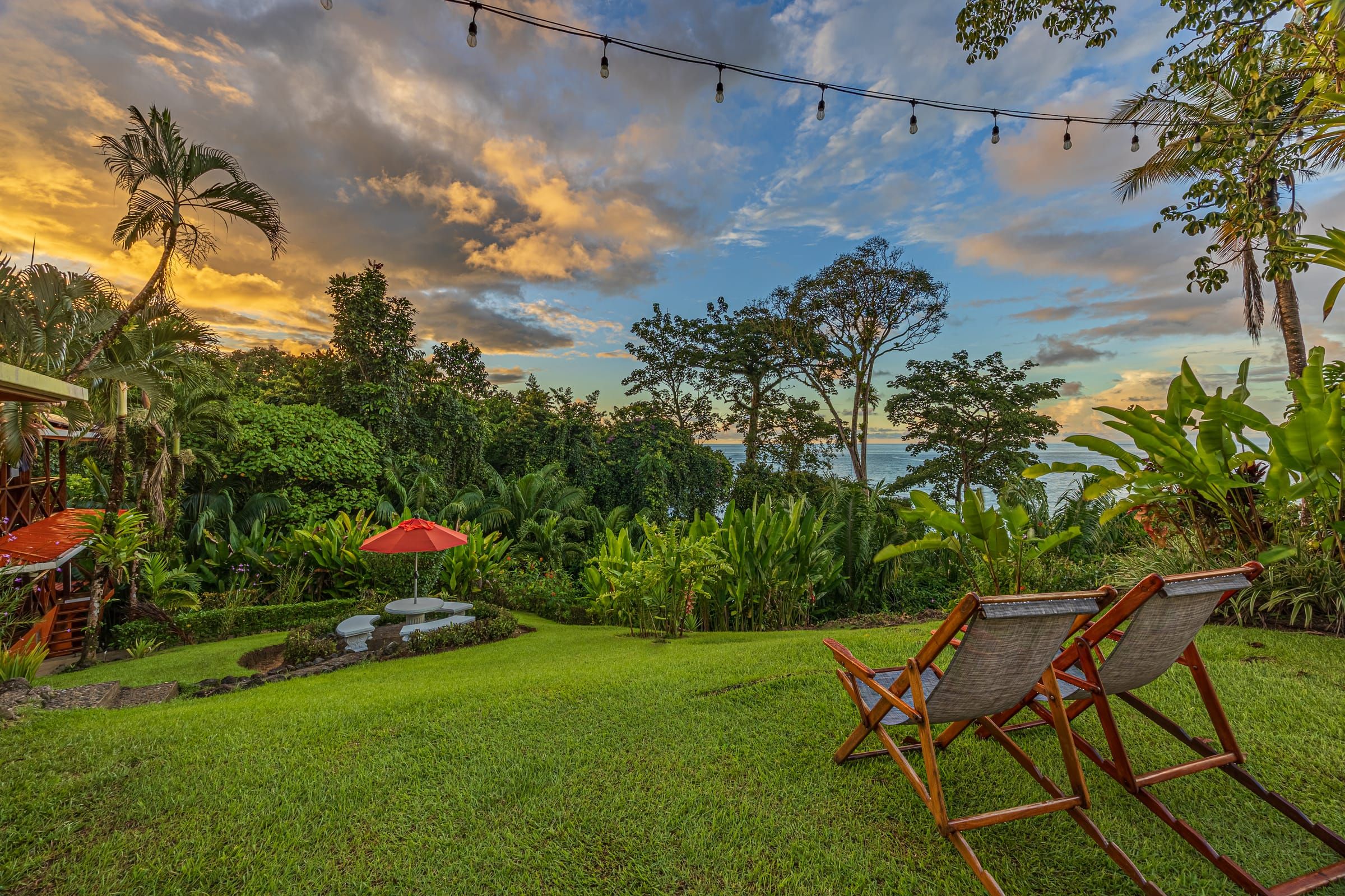 Garden and rainforest canopy at golden hour