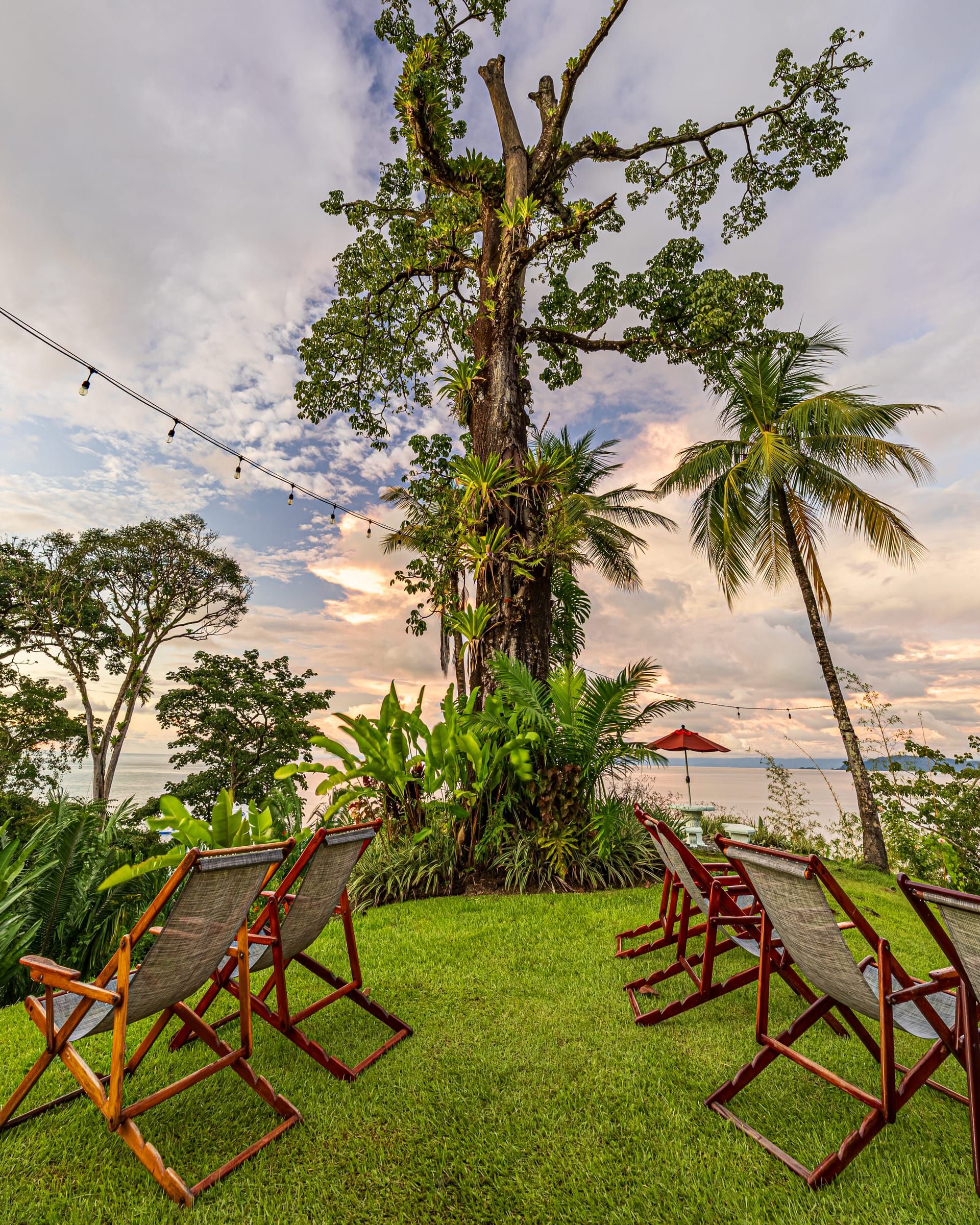 Tropical garden with palm trees and ocean view at sunset